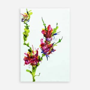 Wild Poppies - Original artwork by Sue Mac Dougall